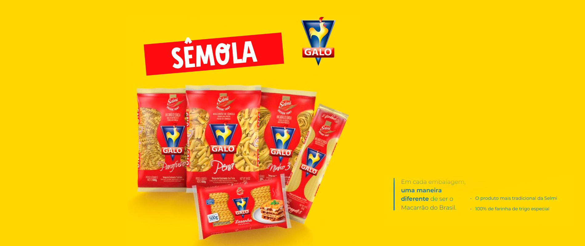 Contamos com um amplo catálogo de produtos Selmi! Massas, biscoitos, bolinhos e misturas para bolo com muito sabor e qualidade! São mais de 130 anos de tradição! Confira!